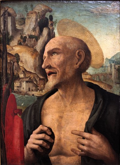 Saint Jerome Penitent by Gian Francesco de Maineri